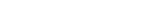 Data General White Web Logo
